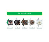 سیرسیاه فرآوری شده طبیعی
