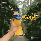 نوشیدنی ورزشی داینامین باکس ۶ عددی انبه